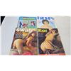Image 3 : (12) assorted adult magazines