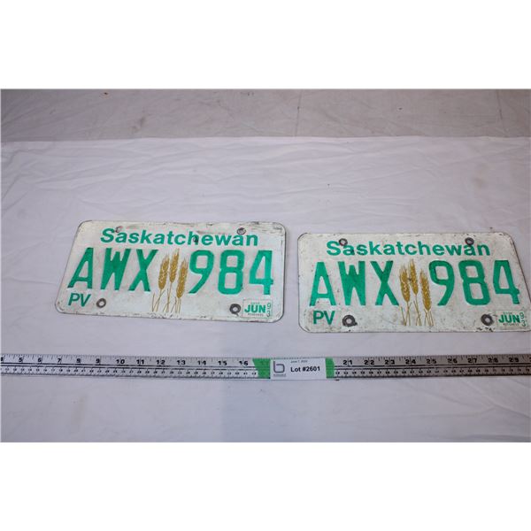 1993 Saskatchewan License Plates (2)