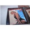 Image 2 : 1990,1991 Swimsuit Calendars (3)