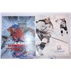 Image 2 : Hockey/Baseball Posters (3)