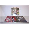 Image 1 : Hockey Posters (3)