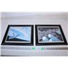 Image 1 : Space Framed Pictures (2)