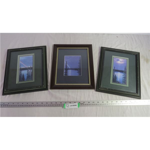 (3) Glen Scrimshaw Framed Prints