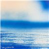 Image 3 : Dolphin by Wyland Original