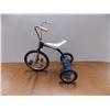 Image 1 : *Blue Tricycle