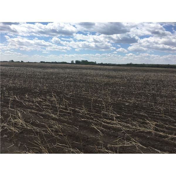 UNRESERVED !!!! Quarter of Land with Easement near Pike Lake, SK- 127.64 acres