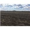 Image 1 : UNRESERVED !!!! Quarter of Land with Easement near Pike Lake, SK- 127.64 acres
