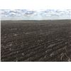 Image 3 : UNRESERVED !!!! Quarter of Land with Easement near Pike Lake, SK- 127.64 acres