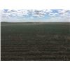 Image 4 : UNRESERVED !!!! Quarter of Land with Easement near Pike Lake, SK- 127.64 acres