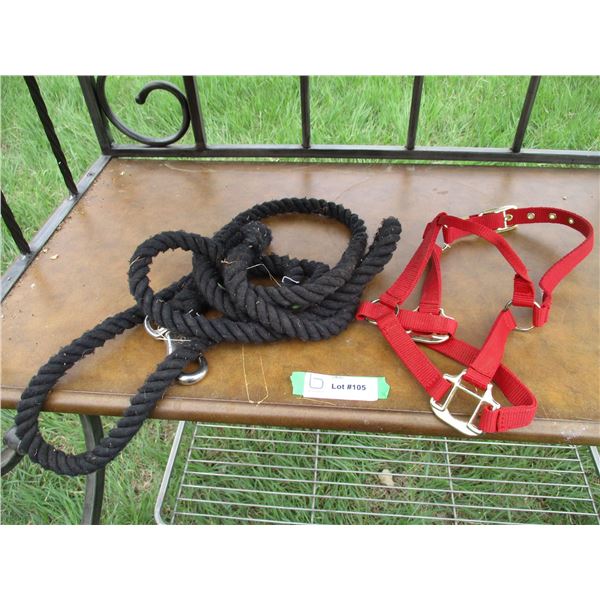 Halter (red) with lead (black) rope