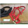 Image 3 : Halter (red) with lead (black) rope