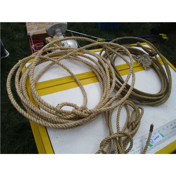 2X THE BID - Lariats