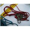 Image 2 : misc rope with lead + tightener