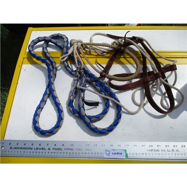Misc horse related - halter + lead