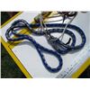 Image 2 : Misc horse related - halter + lead