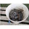 Image 2 : (2) pails of tire chains