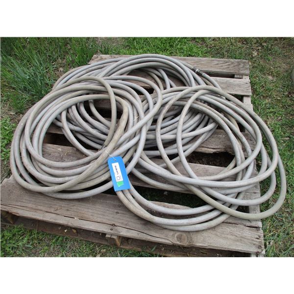 4X THE BID - Water hose - 50ft