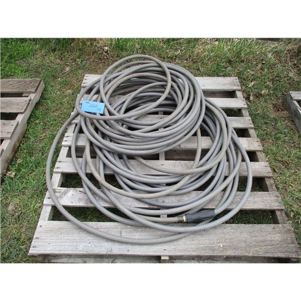 2X THE BID - Water hose - 75ft