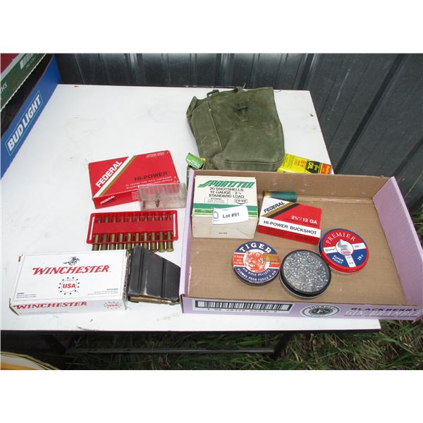 lot of ammo with holder