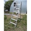 Image 1 : 12 ft step ladder