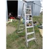 Image 2 : 12 ft step ladder