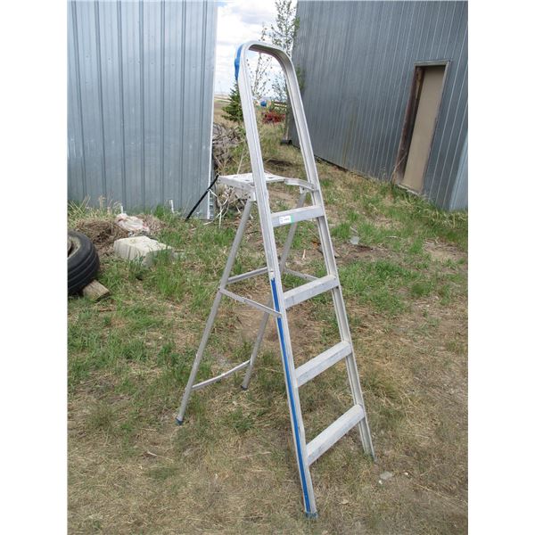5ft painters step ladder