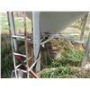 Image 4 : 900 Bushel Hopper bin