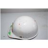 Image 2 : Fiberglass Alberta Forestry helmet