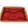 Image 4 : Red Felt display case with glass cover