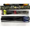Image 3 : Arrows with Plano Cases