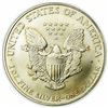 Image 2 : 1996 Silver Eagle