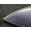Image 2 : Decorative Nitrogenie Surfboard w/ Wood Mounts Signed