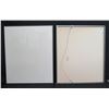 Image 1 : Qty 2 Plexi-Glass Frames 31"x37"