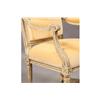 Image 5 : PAIR FRENCH LOUIS XVI STYLE CARVED ARM CHAIRS