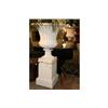 Image 4 : PR CAST IRON GARDEN URNS