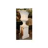 Image 5 : PR CAST IRON GARDEN URNS