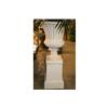 Image 6 : PR CAST IRON GARDEN URNS