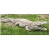 Image 1 : CAST STONE ALLIGATOR DETAILED SCALES AND BODY