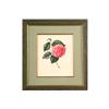Image 2 : FOUR HANDCOLORED STIPPLE ENGRAVINGS 1827 PARIS