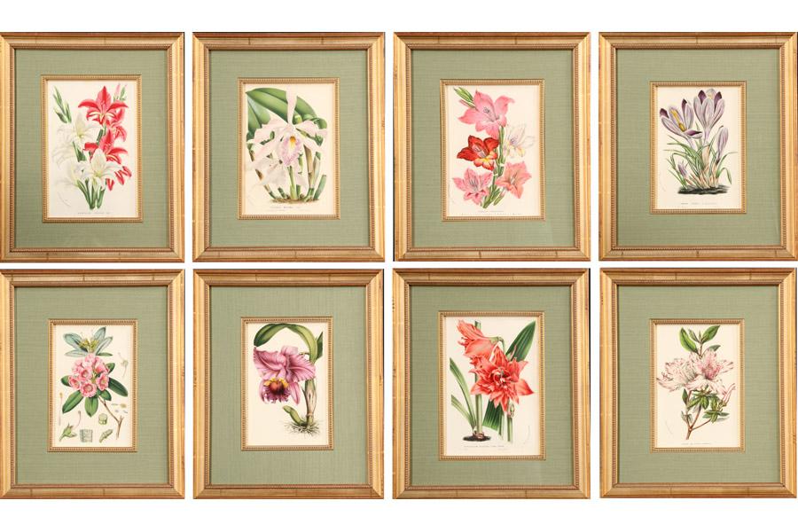 SET 8 FRAMED ANTIQUE BOTANICAL PRINTS LITHO