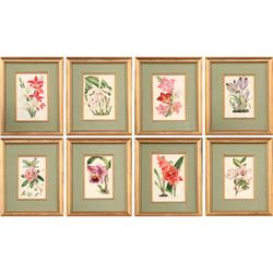 SET 8 FRAMED ANTIQUE BOTANICAL PRINTS LITHO