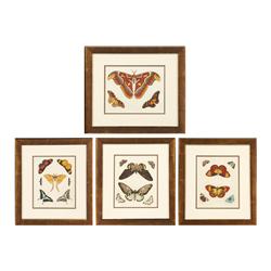 SET 6 FRAMED ANTIQUE PRINTS BUTTERFLIES