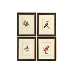 SET 8 FRAMED ANTIQUE HAND COLORED PRINTS BIRDS