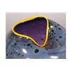 Image 3 : MODERN ART GLASS VASE SIGNED DALE CHIHULY