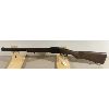 Image 1 : CHIAPPA DOUBLE BADGER MODEL IN .22 LR / 410 GA