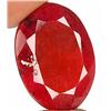 62ct. Rare Huge Pigeon Blood Red Natural African Ruby RETAIL $4000 (GEM-2638)
