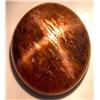 7.18ct.  Fabulous Brown 4 Ray Star Sunstone RETAIL $500
