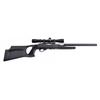 Image 1 : Custom Ruger 10/22 Rifle