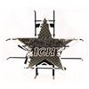 Image 2 : Lone Star Light Star Neon Sign