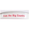 Image 3 : (2) Lone Star Beer Tin Serving Trays